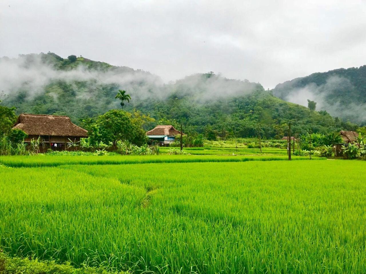 Xoi Farmstay - Eco Homestay Luc Yen Yen Bai 外观 照片