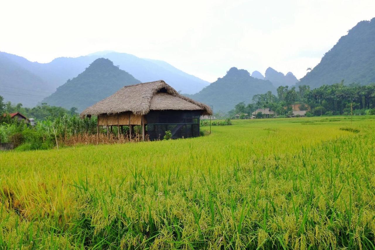 Xoi Farmstay - Eco Homestay Luc Yen Yen Bai 外观 照片